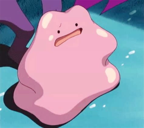 ditto gif|More.